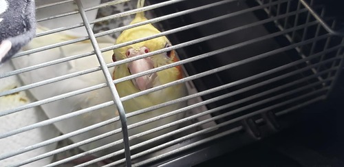 68743003_3586956997997235_4827656395912380416_o[1]