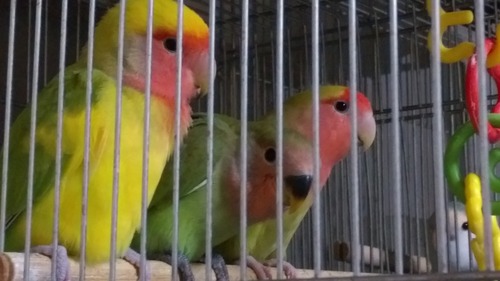 IMAG2286