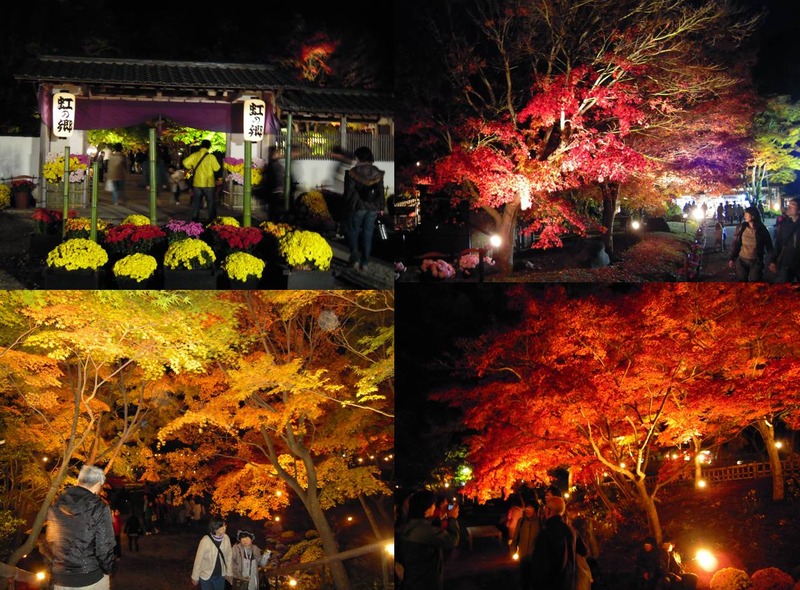 201011251351051f4