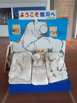 29e08a56.jpg
