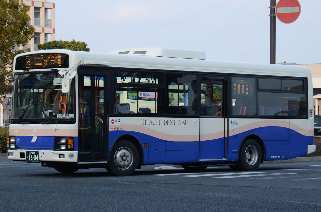 市立船橋　青白セット Amazon | 青島文化教材社 スカイネット 1/12 完成品バイク