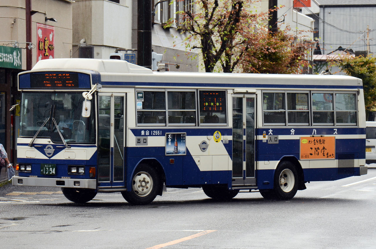 大分バス 中型車① : ざっしーのただ載せてゆくだけ