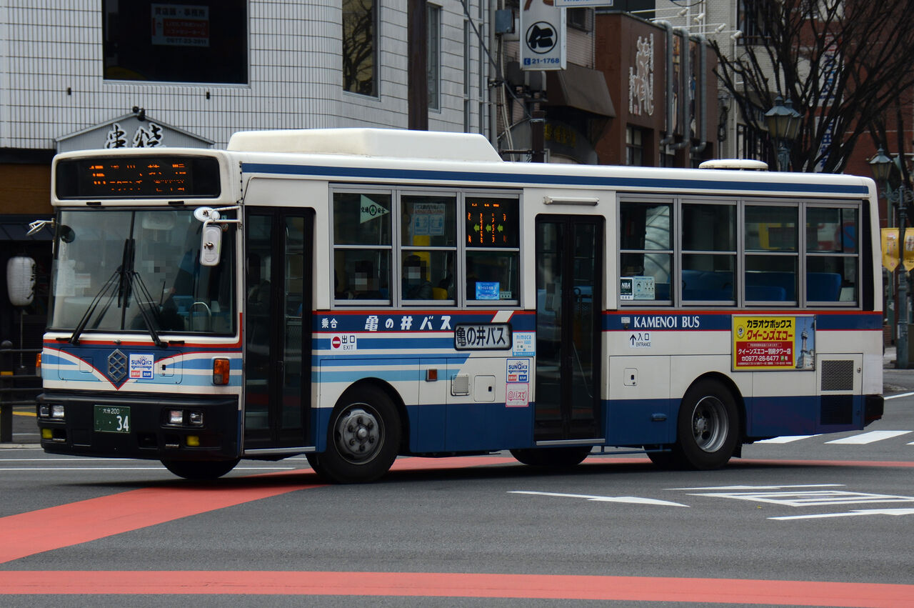 亀甲亀 象200 パキ、ノーマル150 和象亀 on X