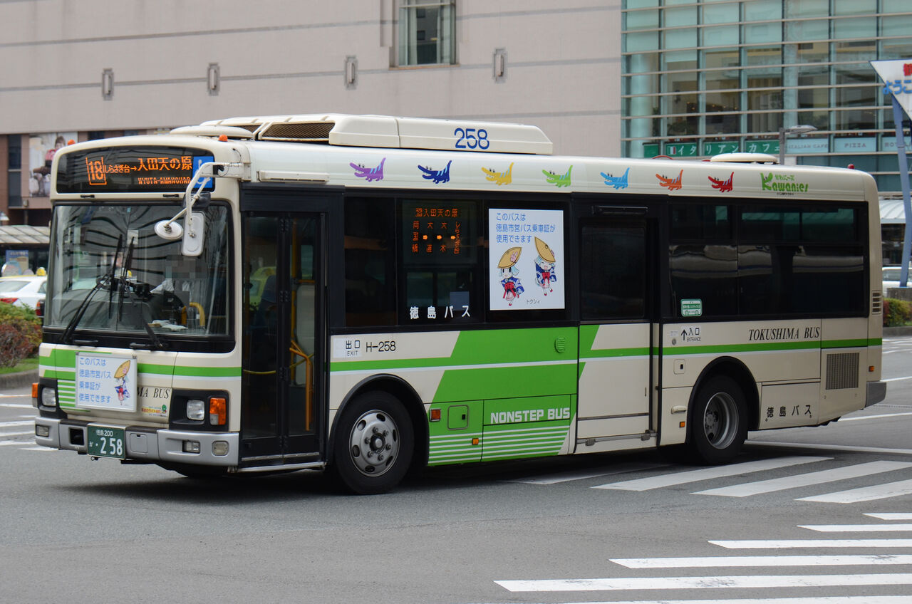 徳島バス 中型車 ざっしーのただ載せてゆくだけ