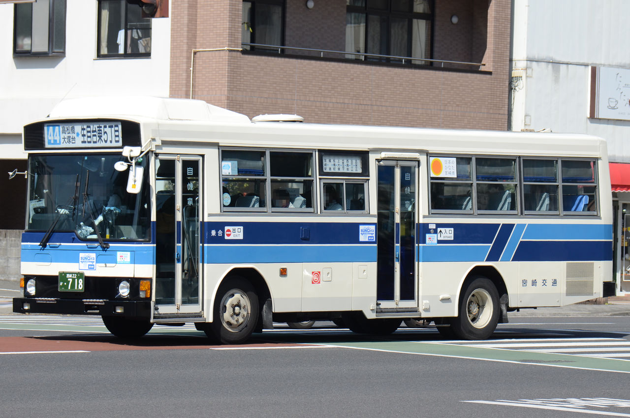 Amazon.co.jp: 散歩考古学東京の中の宮崎 : 松本こーせい: 本