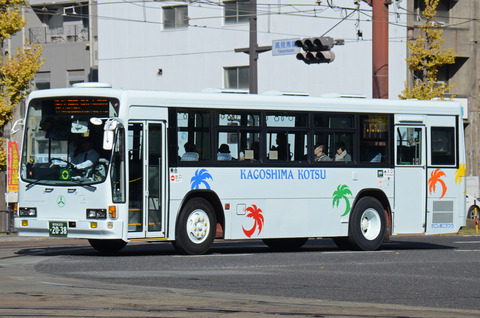 2038 (1)-f
