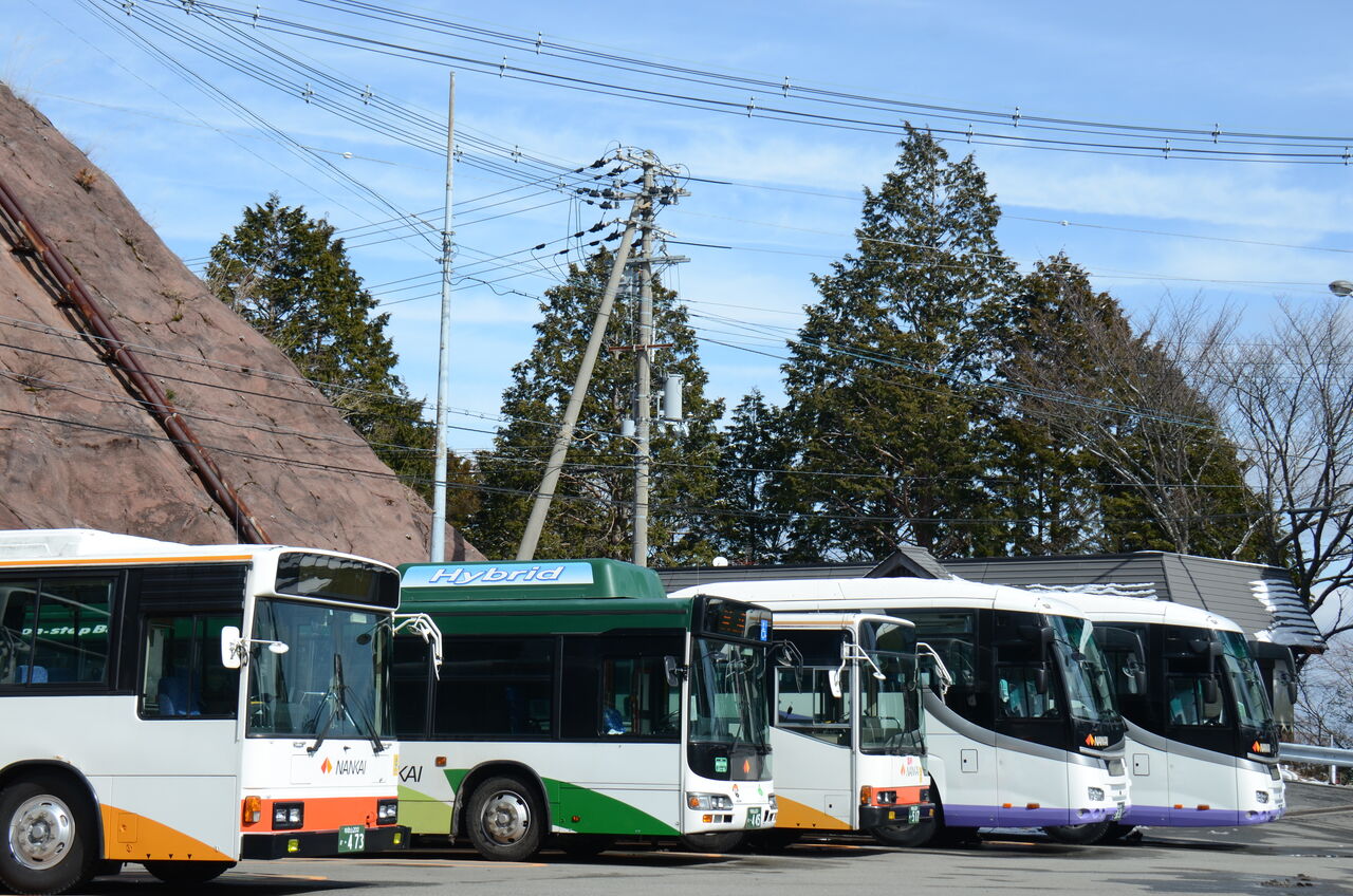 南海りんかんバス : ざっしーのただ載せてゆくだけ