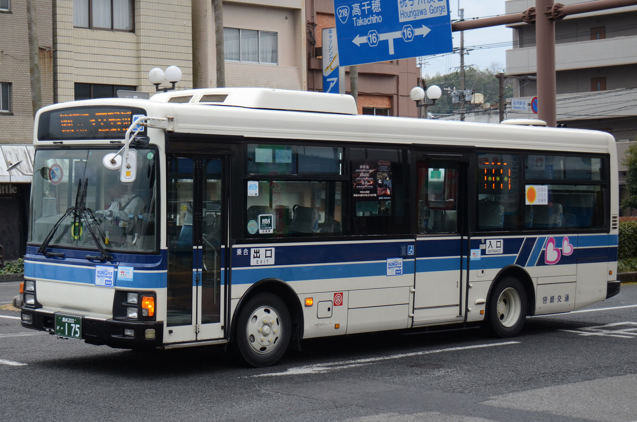 三線【宮古島製】 IMG_3202.jpg
