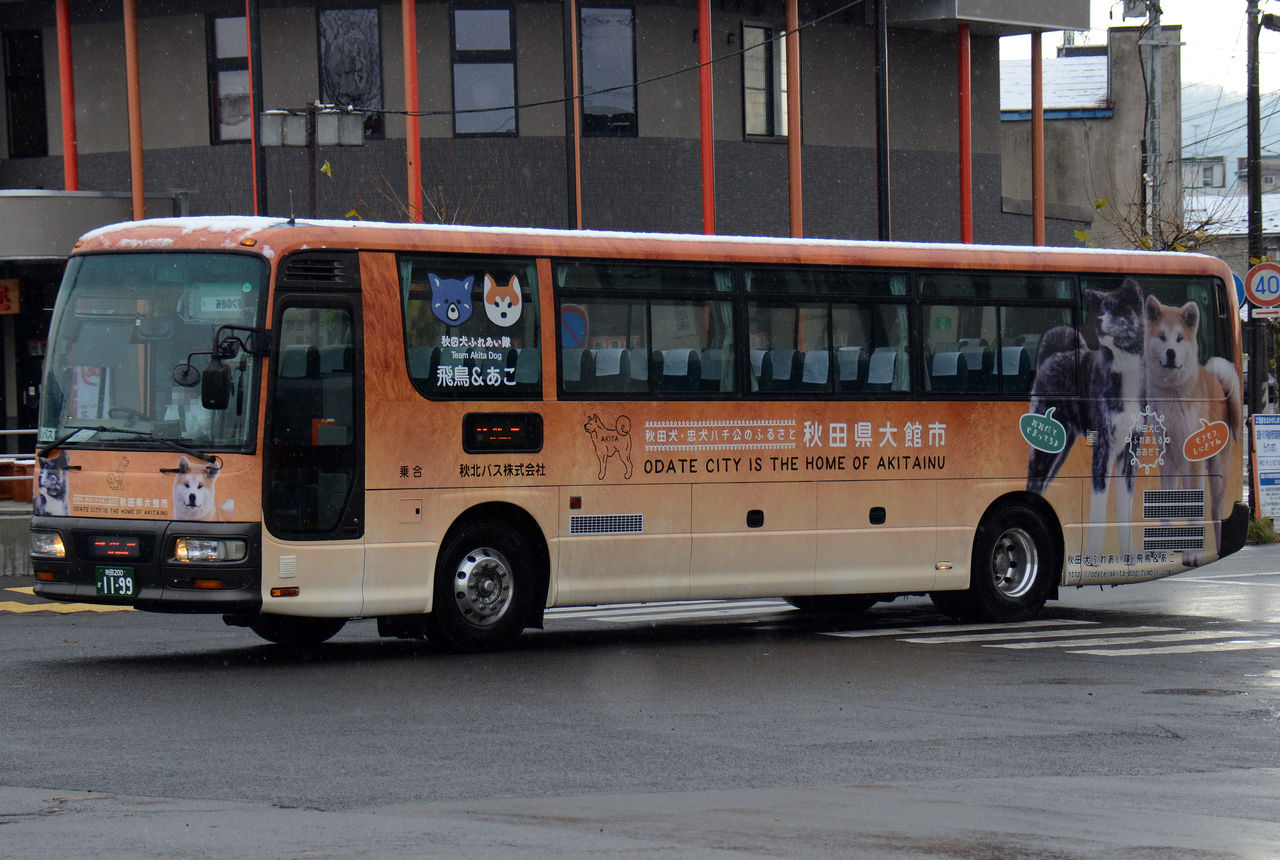 秋北バス 高速路線車③ : ざっしーのただ載せてゆくだけ