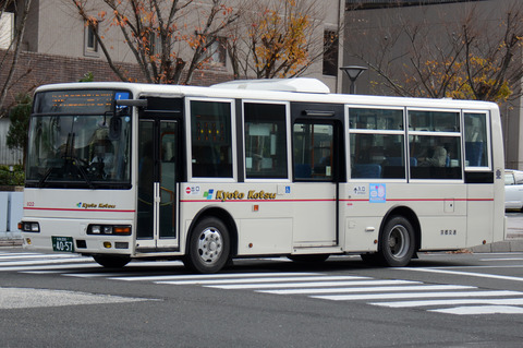 都鳥 b582ffb9-s.jpg