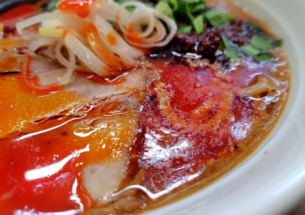 260219222521462IF_1_BURST260219222521462_COVER