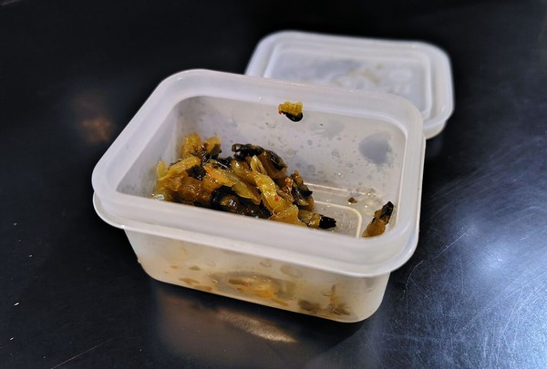 250826220600829IF_2_BURST250826220600829