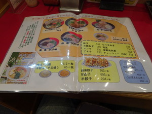 DSC07175