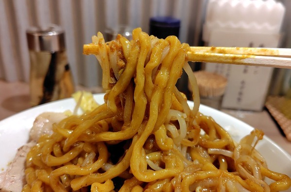 260223220452924IF_1_BURST260223220452924_COVER