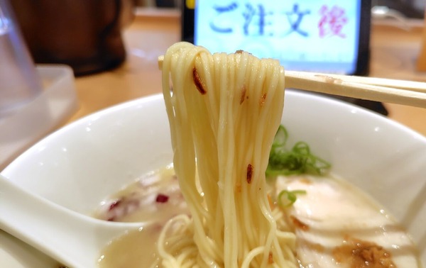 250717212858156IF_1_BURST250717212858156_COVER