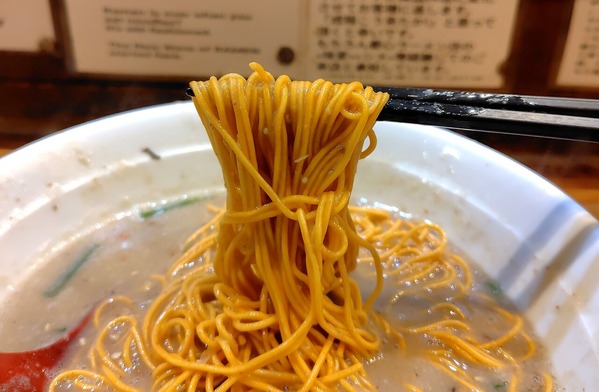 260124193114600IF_1_BURST260124193114600_COVER