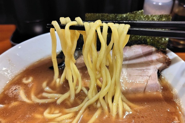 251113221501501IF_1_BURST251113221501501_COVER