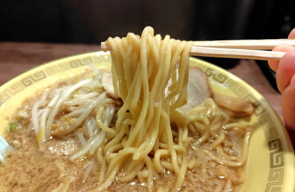 260107210809370IF_1_BURST260107210809370_COVER