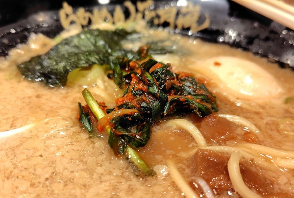 260127214458876IF_1_BURST260127214458876_COVER