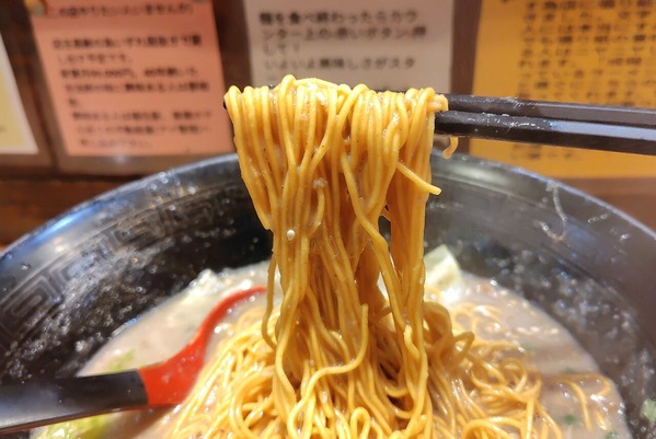 251030205556147IF_1_BURST251030205556147_COVER