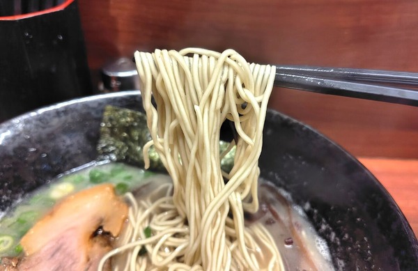 251113222821884IF_1_BURST251113222821884_COVER