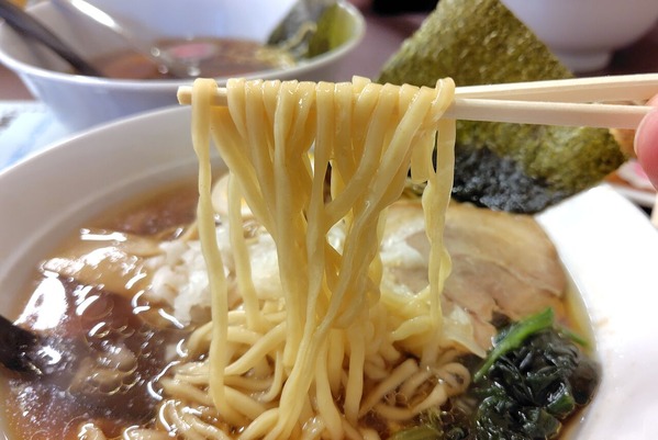 250907172039136IF_1_BURST250907172039136_COVER