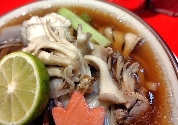 251102133740643IF_1_BURST251102133740643_COVER