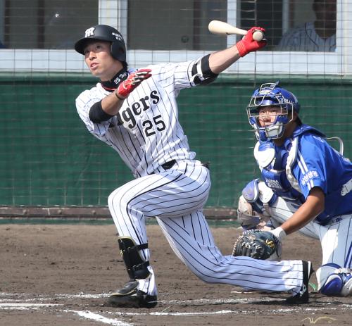 1-C-HOM519