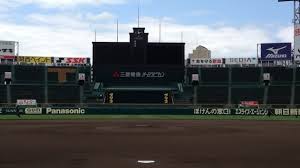 1-C-HOM519