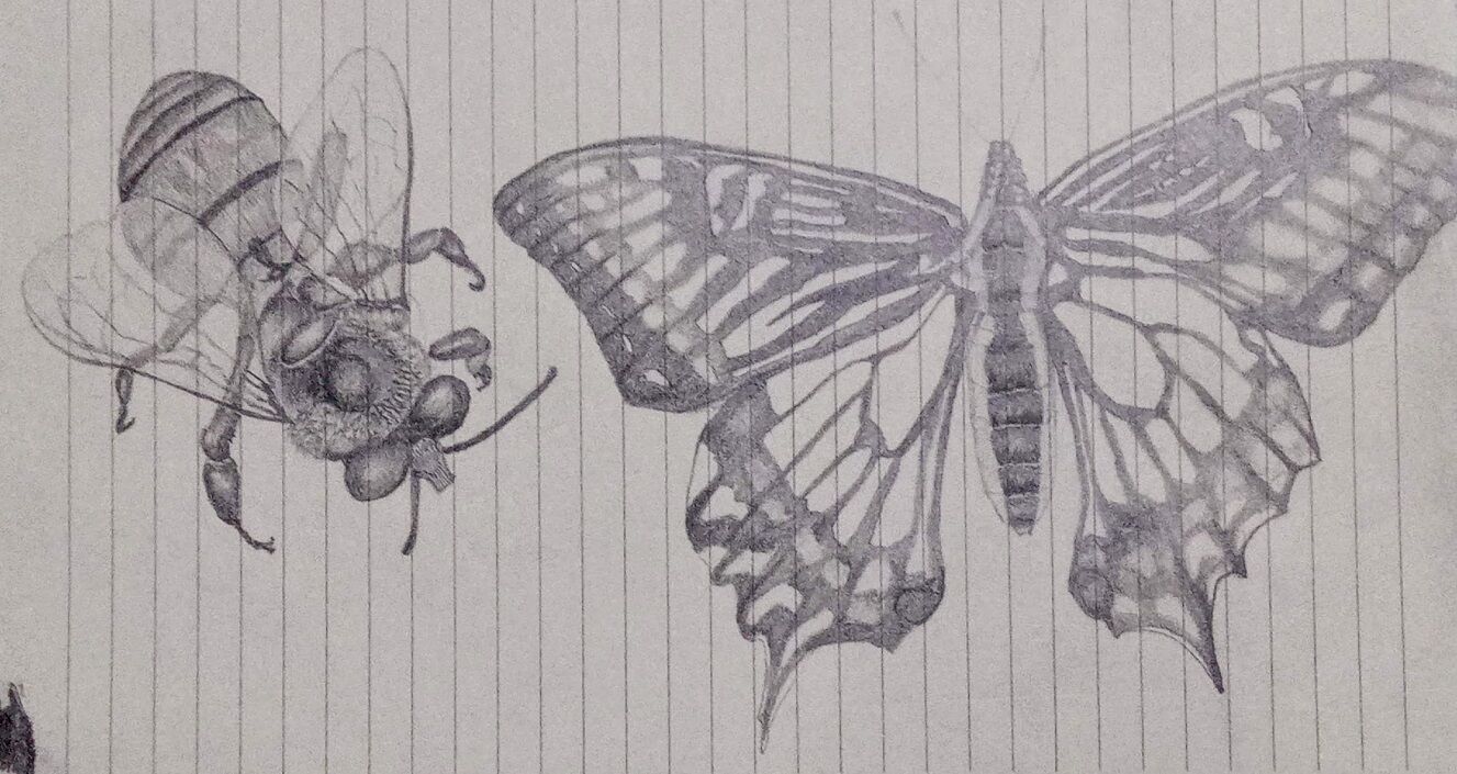 シャーペン画 ハチと蝶 絵とプログラミング シャーペン画 ハチと蝶 絵とプログラミング
