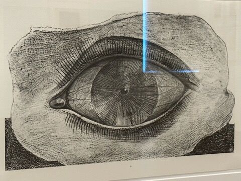 美術】マックス・エルンスト／『自然史』 Max Ernst/Natural History