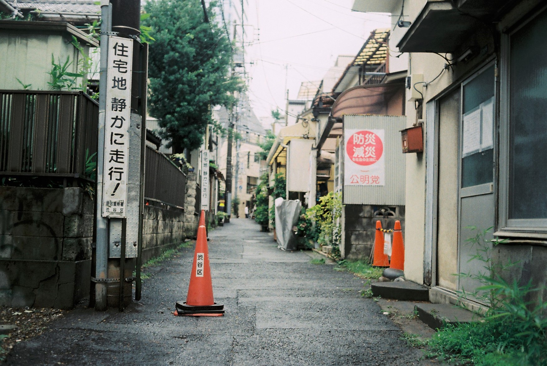 原宿裏路地 50mmf2 Blog