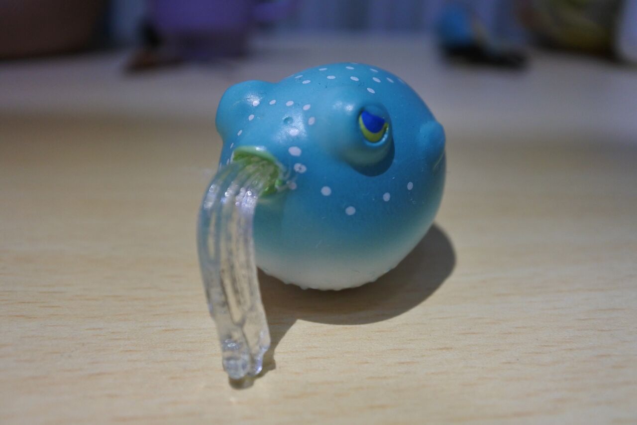 不遇なフグ ざわのぎょぎょぎょ日記 不遇なフグ ざわのぎょぎょぎょ日記