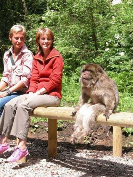 the_best_wtf_animals_pictures_for_2012_640_33