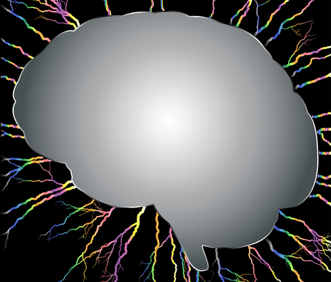 brain43