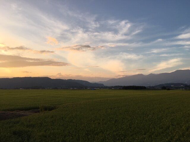 sakusakamotofukei