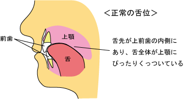 2tongueinzazen