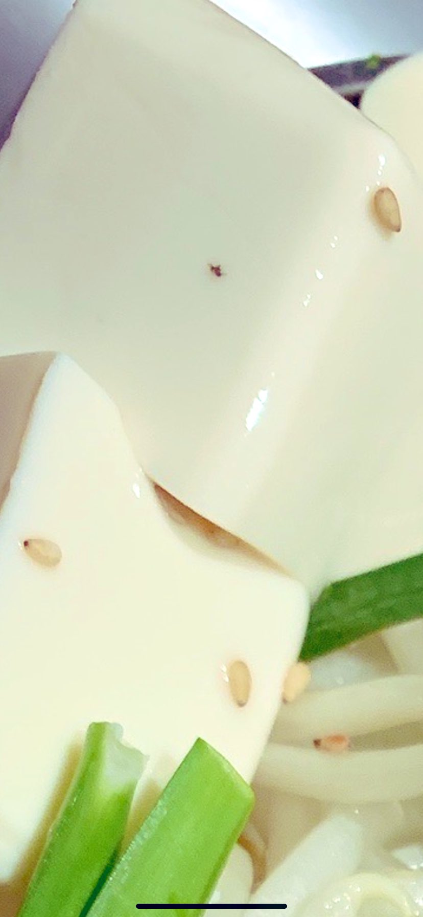 虫民 魚民でもつ鍋頼んだら1000匹くらい虫が入ってた 魚民 謝罪 保健所立ち入り 白菜の洗浄不備 が原因か Zチャンネル Vip 2ちゃんねるまとめブログ