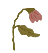 flower_seichou9