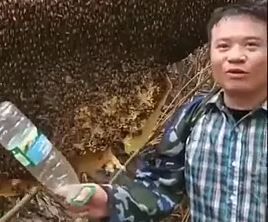 キャプチャ