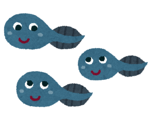 animal_otamajakushi