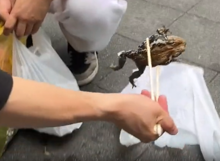 キャプチャ