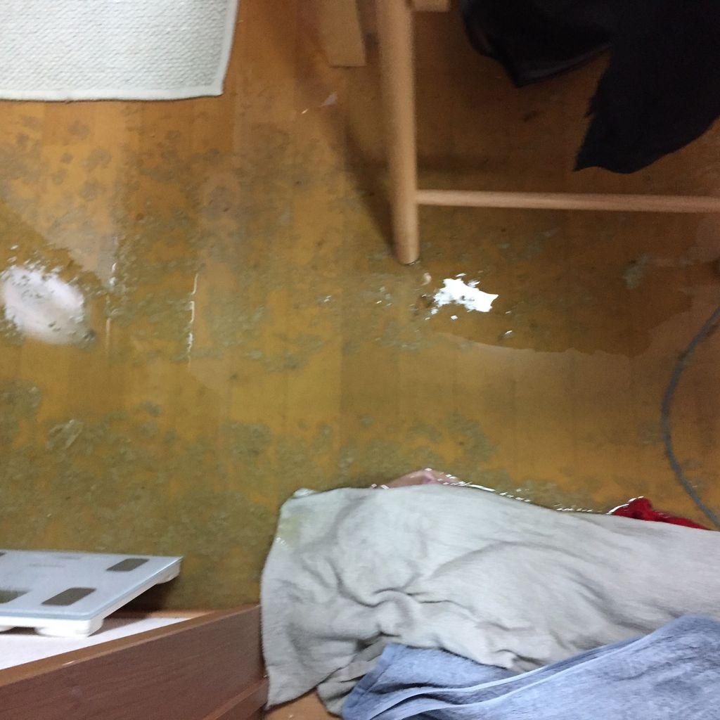 閲覧注意 うちのトイレ 逝く Zチャンネル Vip 2ちゃんねるまとめブログ