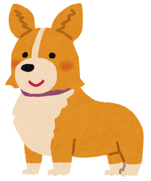 dog_corgi