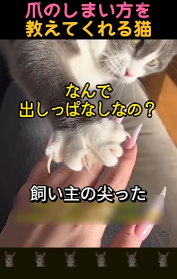 キャプチャ