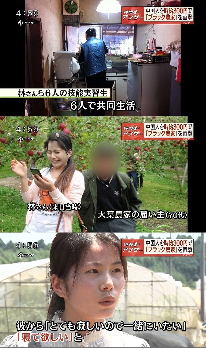 最近職場に技能実習生来たんやが、先輩がイジメててワイは何も口出しできん YouTube動画>1本 ->画像>8枚 