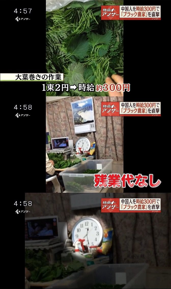 最近職場に技能実習生来たんやが、先輩がイジメててワイは何も口出しできん YouTube動画>1本 ->画像>8枚 