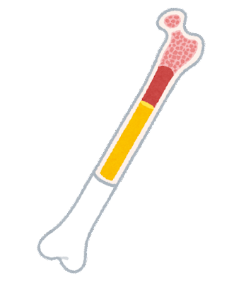 body_kotsuzui