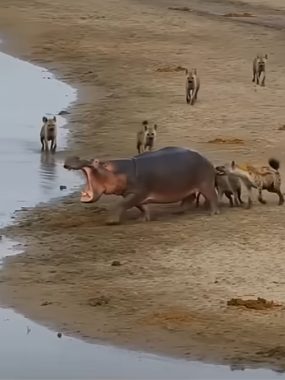 キャプチャ