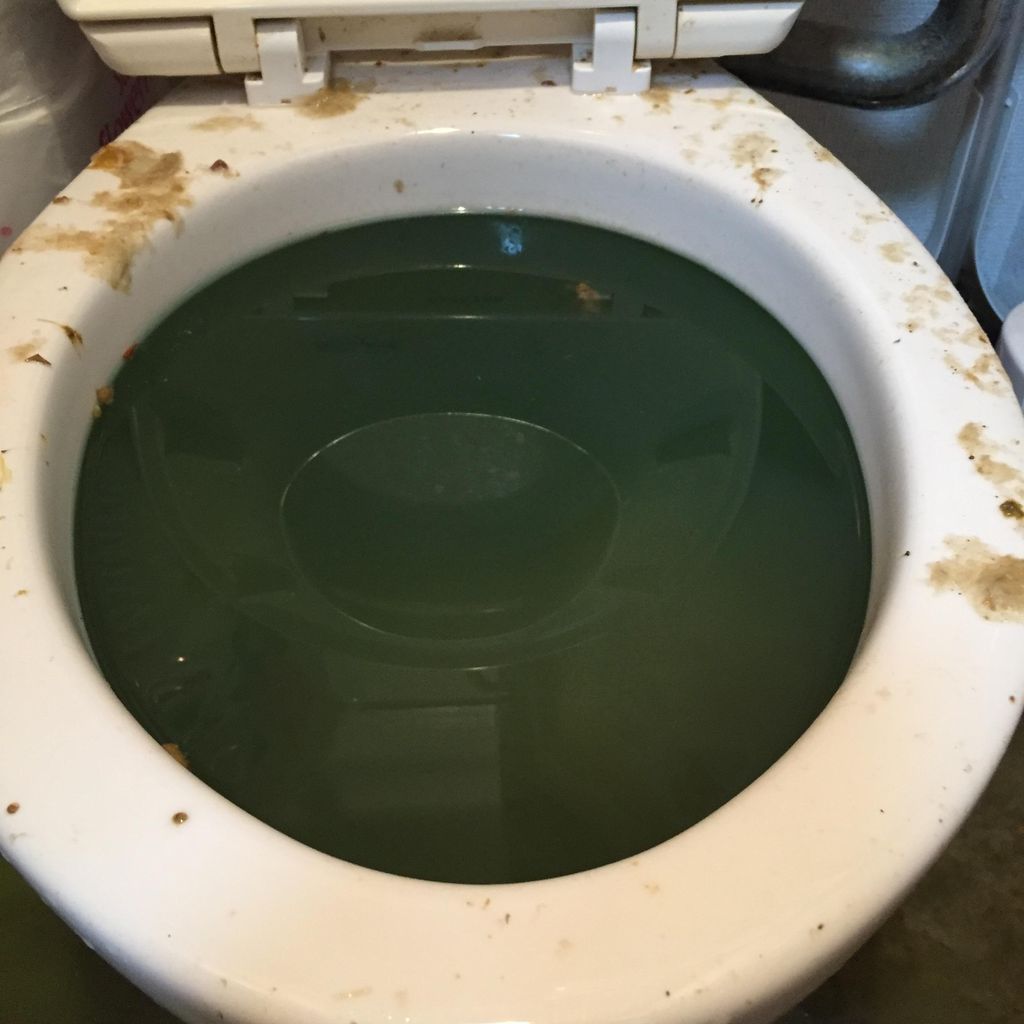 閲覧注意 うちのトイレ 逝く Zチャンネル Vip 2ちゃんねるまとめブログ